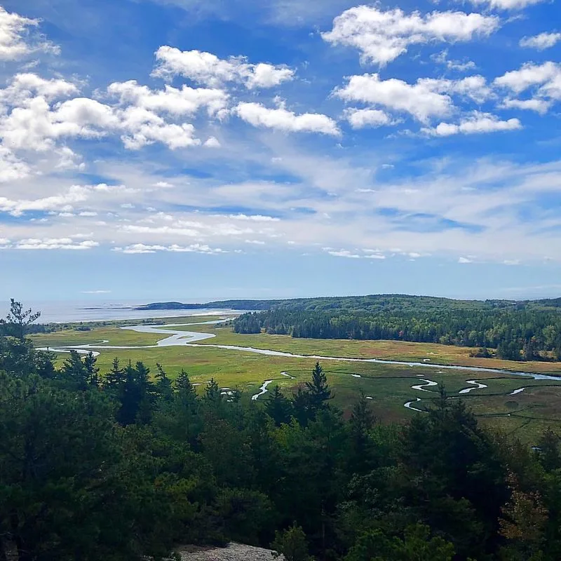 Hiking at Morse Mountain: A Forest Walk That Ends in Salt Air