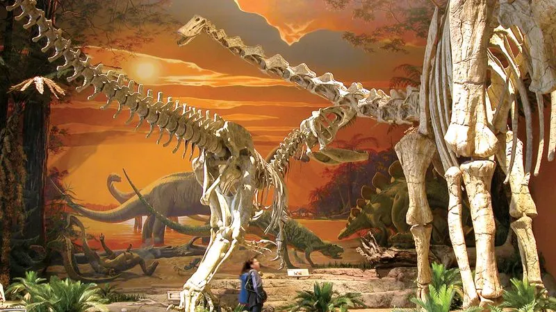 The New Mexico Museum of Natural History and Science