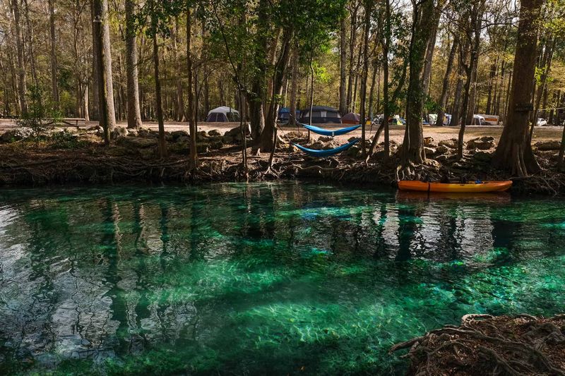A Nature Lover’s Dream