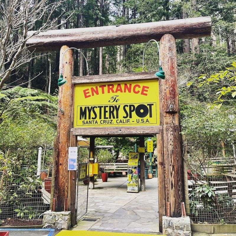 Mystery Spot, Santa Cruz, California