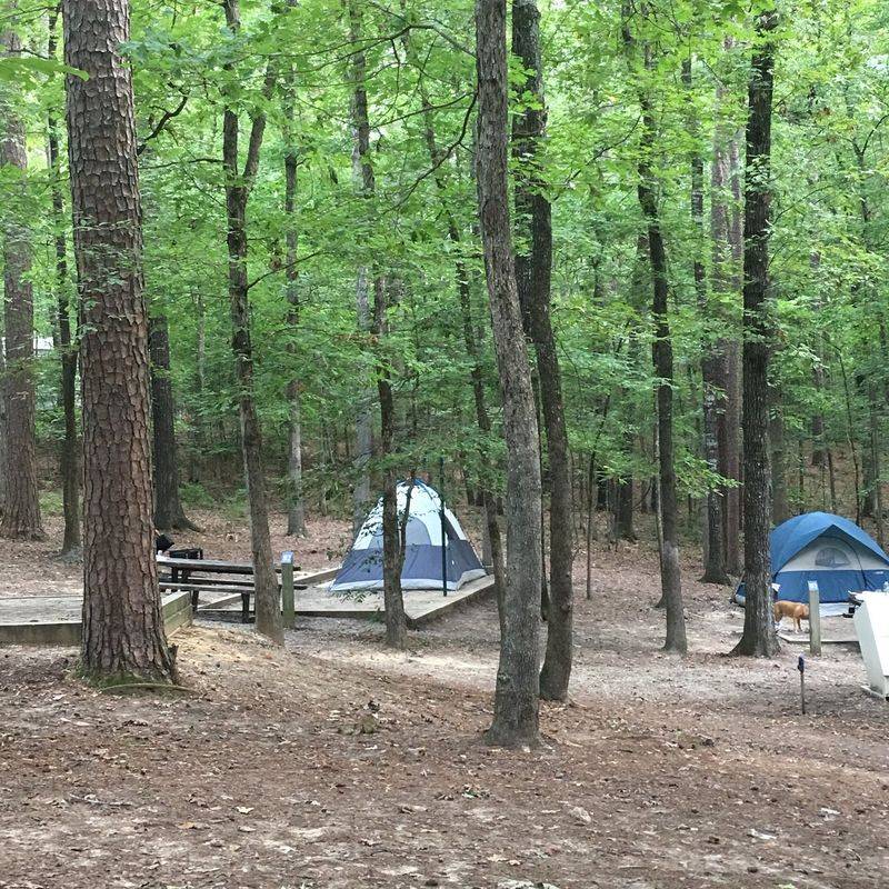 Relax and Stay—Campgrounds, Cabins, and More