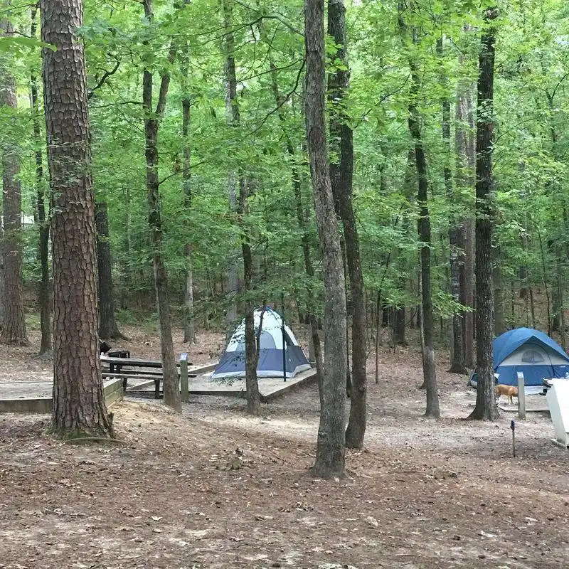 Relax and Stay—Campgrounds, Cabins, and More