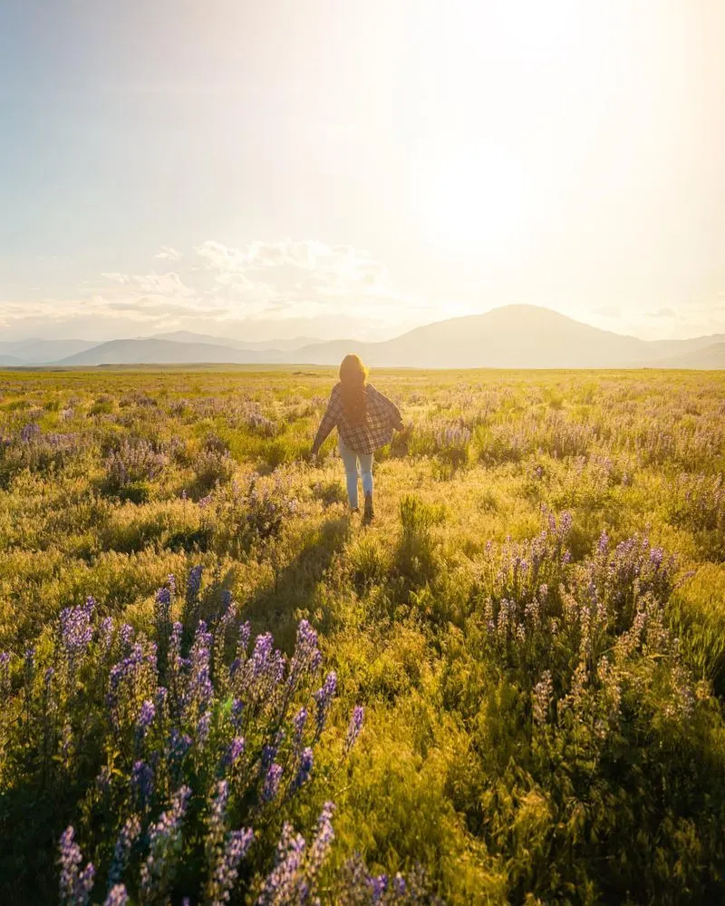 The Wildflower Admirer: Appreciates Spontaneity and Variety