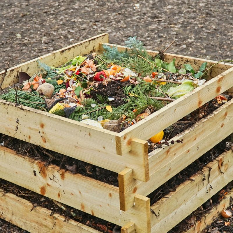 The Compost Tolerator: Patient With Travel Challenges