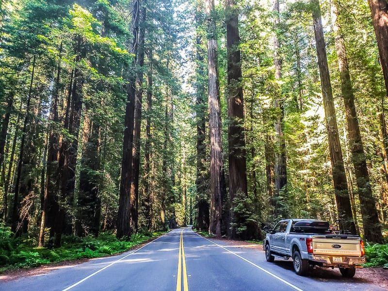 Lost Coast Scenic Drive, California