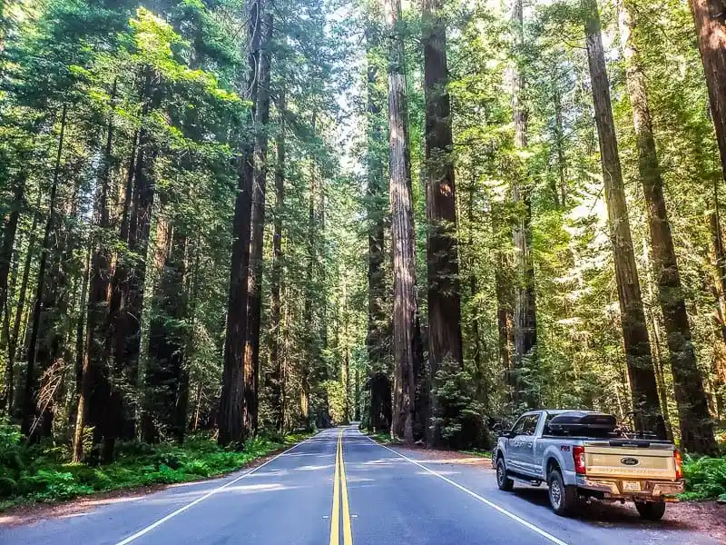 Lost Coast Scenic Drive, California