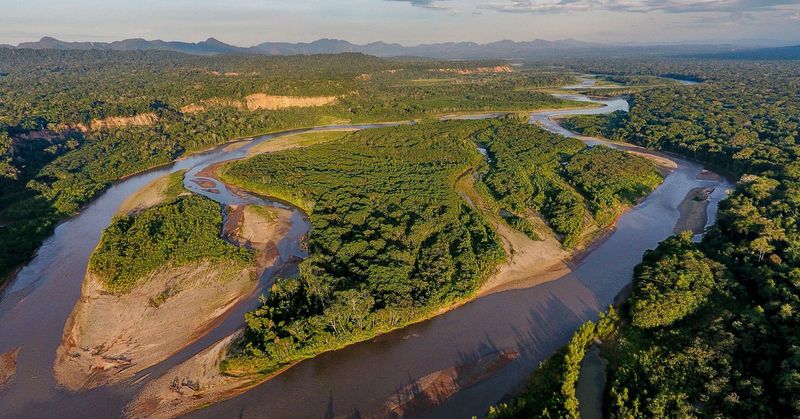 Madidi National Park, Bolivia