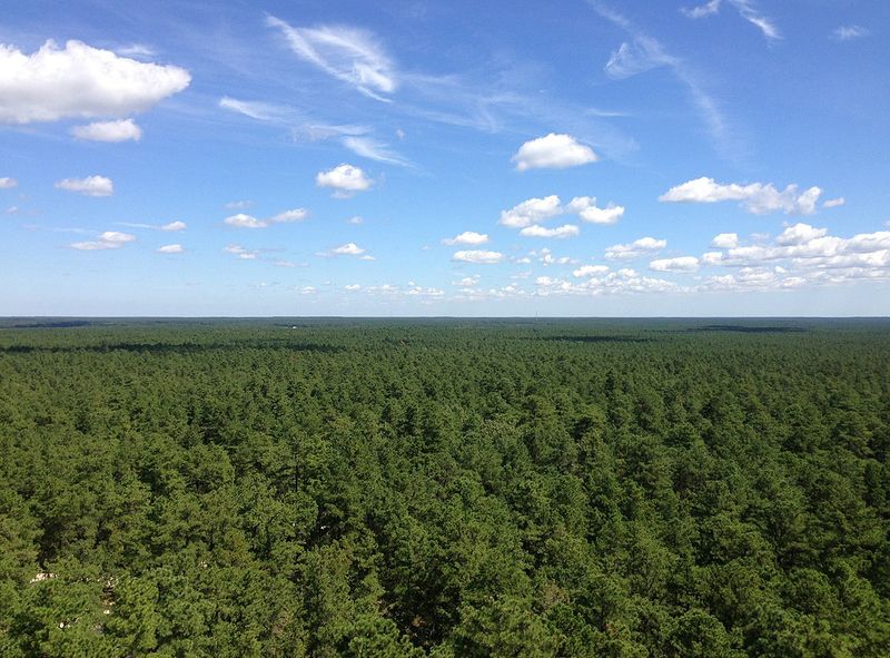 Pine Barrens, New Jersey