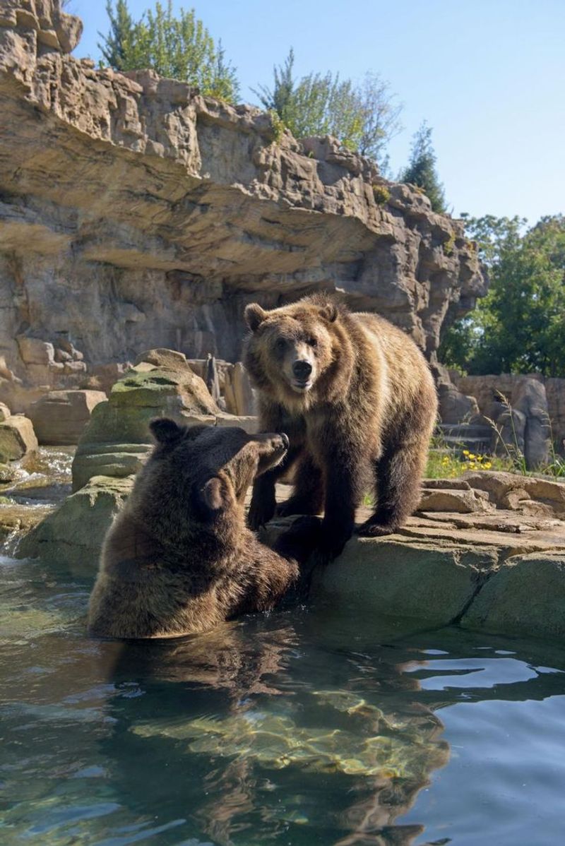 St. Louis Zoo, Missouri