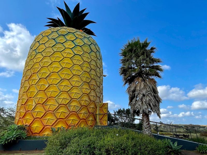 The Big Pineapple, Bathurst, Australia