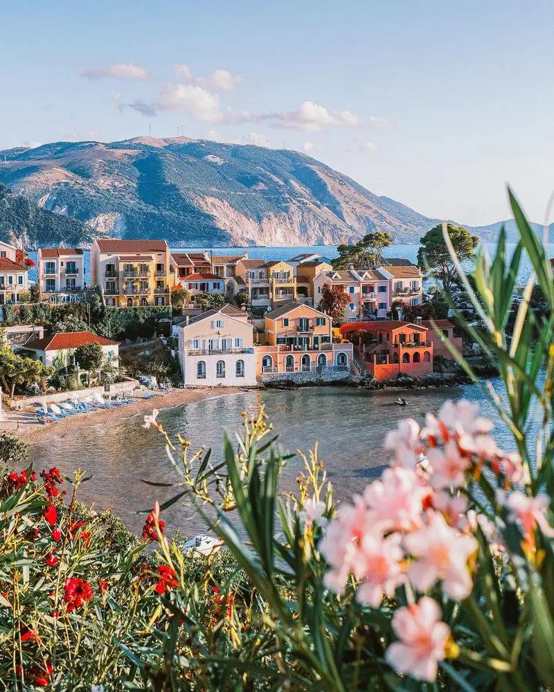 Trampled Wildflowers in Greece’s Hill Villages