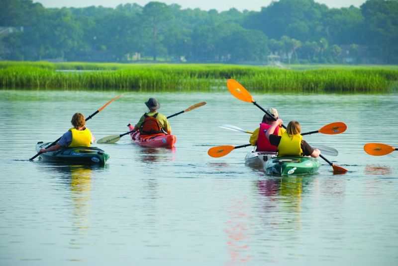 Kayaking through hidden creeks and inlets