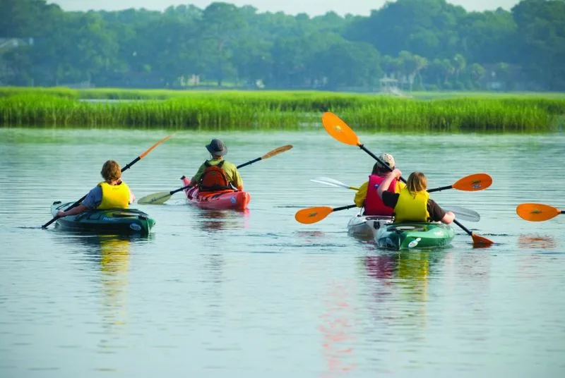 Kayaking through hidden creeks and inlets