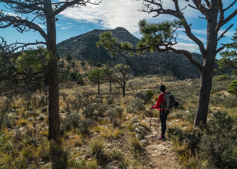 Guadalupe Mountains National Park, Texas