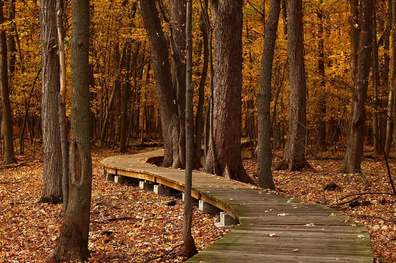 Kal-Haven Trail Biking