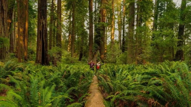 This California Park May Be Lesser Known, But It Has Yosemite-Level Views and Gold Rush History