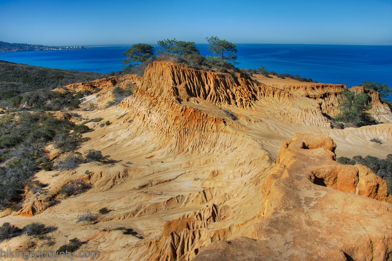 Torrey Pines State Natural Reserve
