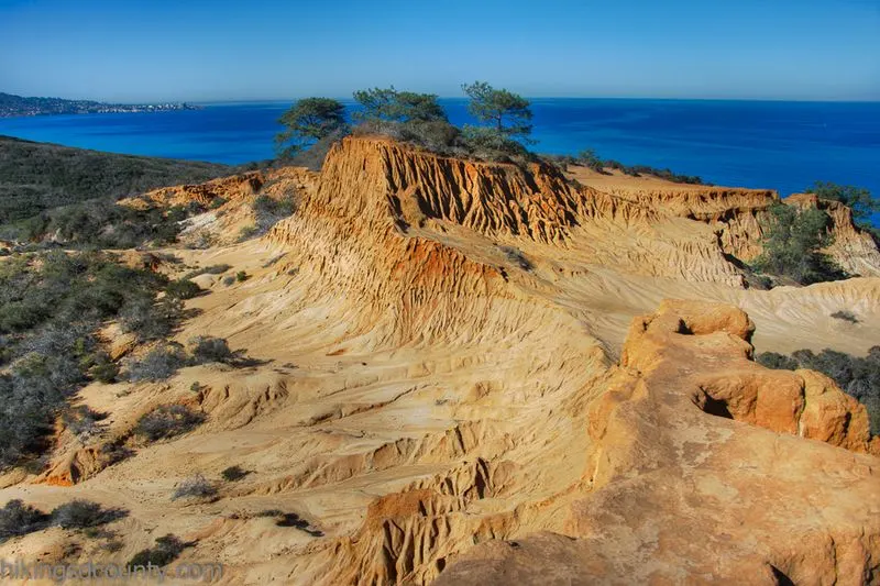 Torrey Pines State Natural Reserve