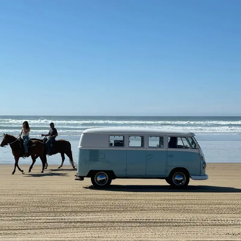 Drive Right Onto the Beach