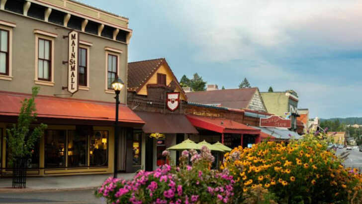 This Northern California Town Looked Perfect Online (The Reality Left Me Speechless)