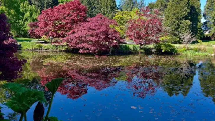 This Pacific Northwest Island Is Where City Families Go to Slow Down and Recharge