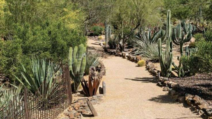 This Peaceful Arizona Town Blends Desert Beauty, Hiking Trails, and a Luxury Stay