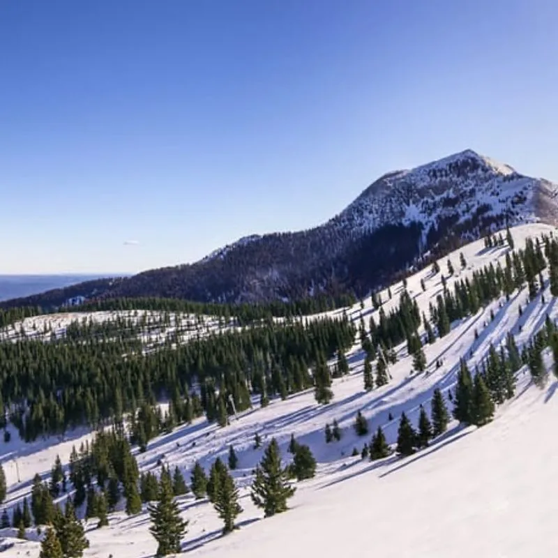 Ski at Ski Apache