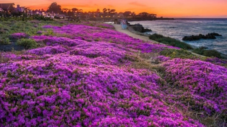 This Two-Week California Road Trip Covers Everything From Coast to Desert