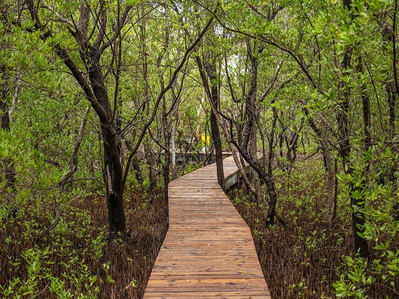 Nature Trails and Parks
