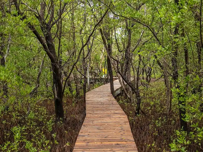 Nature Trails and Parks