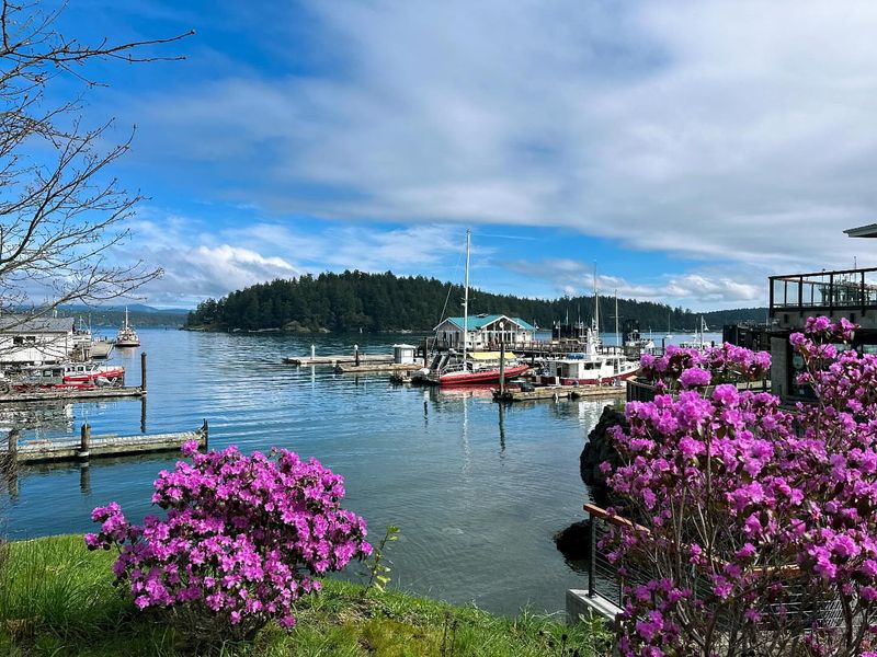 San Juan Islands, Washington – Whale Watching and Kayaking