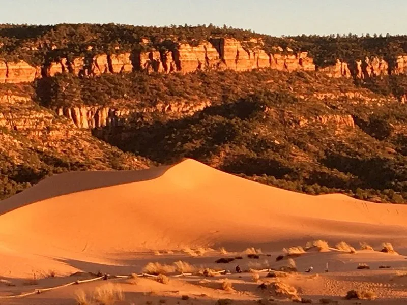 Coral Pink Sand Dunes State Park