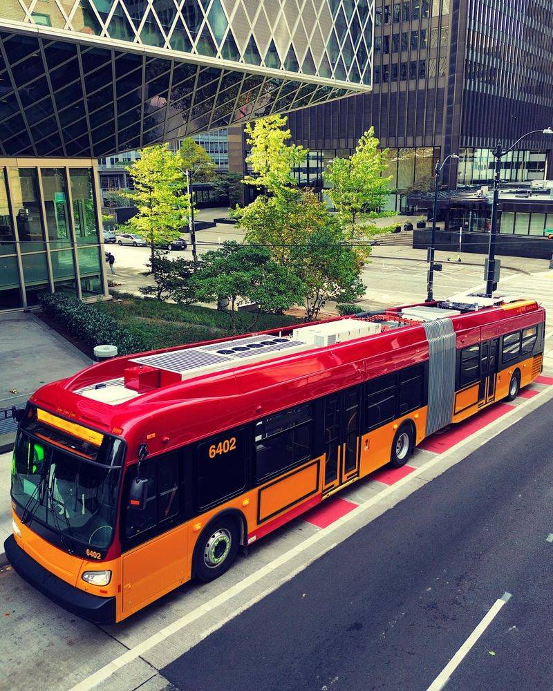 Tip 2: Utilize Public Transportation
