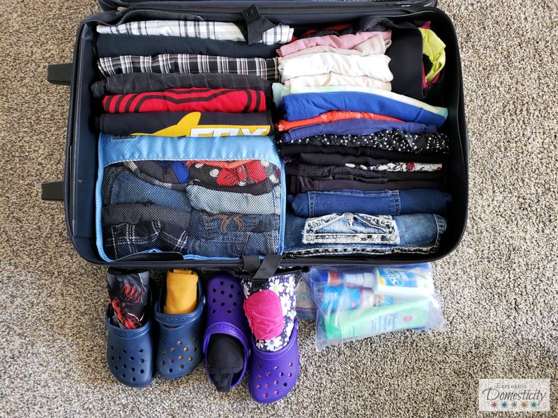 Tip 3: Pack Smart with a Day Bag