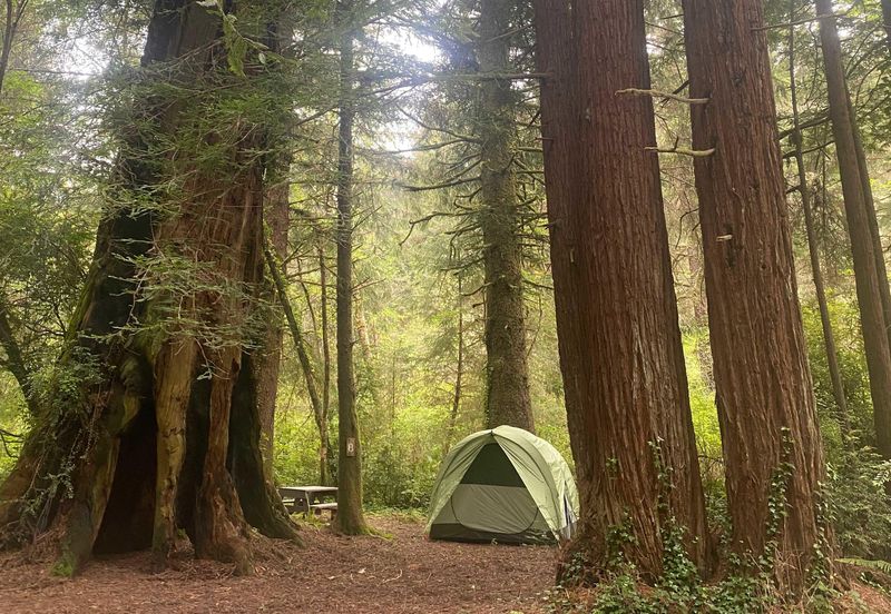Patrick’s Point State Park, California