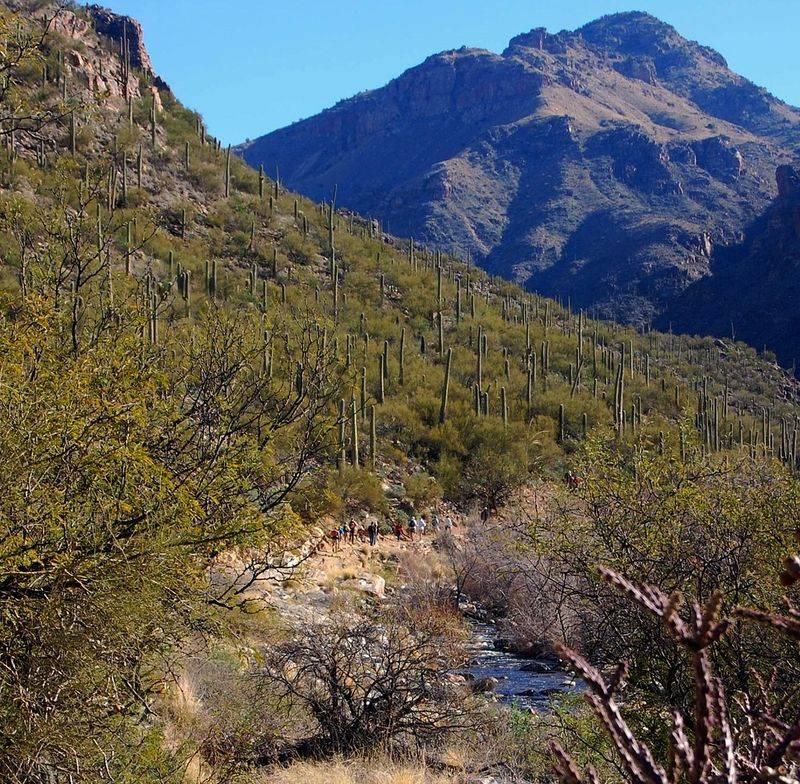 Sabino Canyon (Tucson)