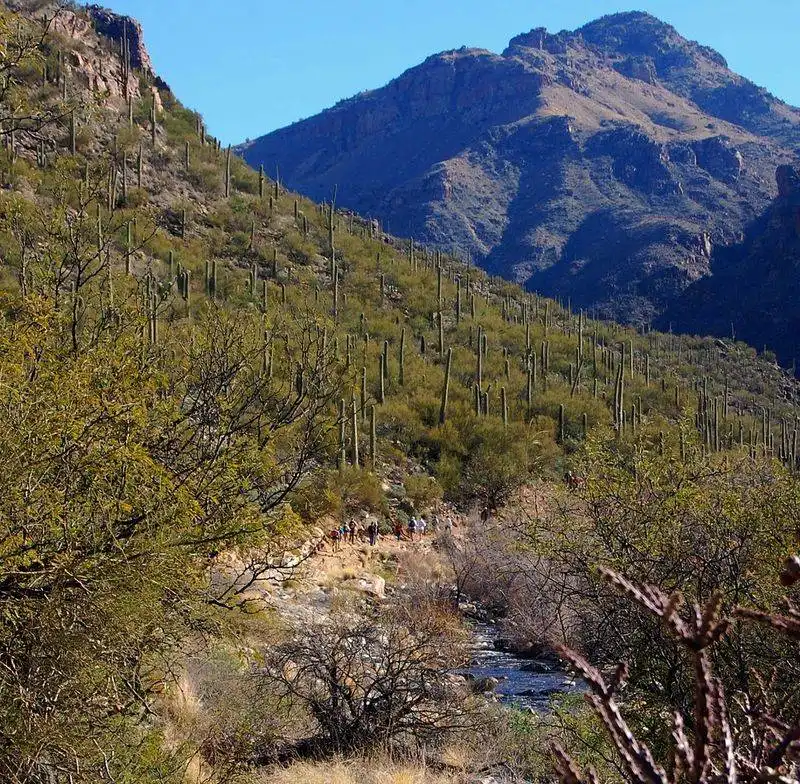 Sabino Canyon (Tucson)