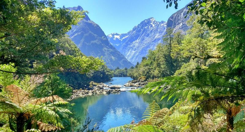 Milford Track, New Zealand