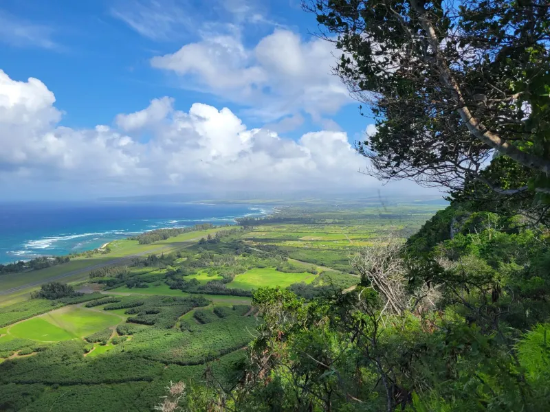 Kealia Trail – Oahu, Hawaii