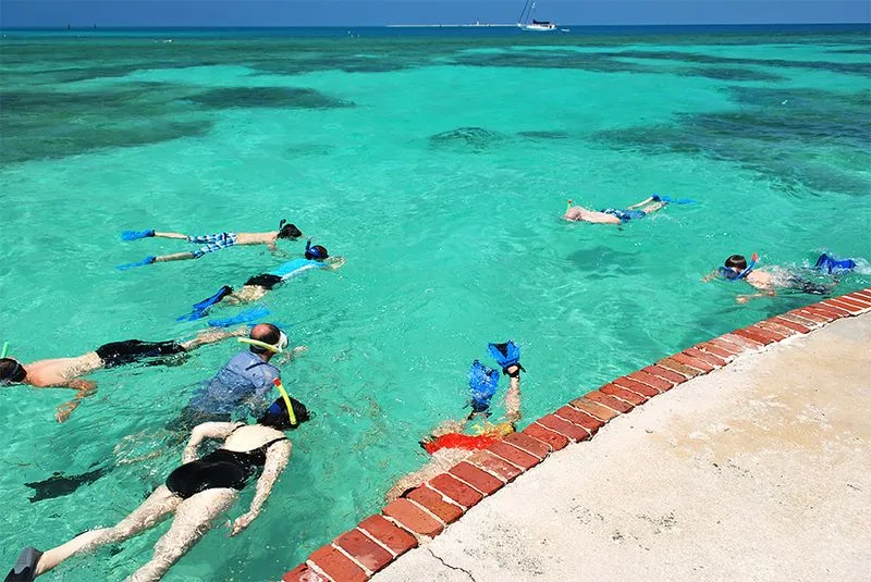 Snorkel in the Moat and Reefs