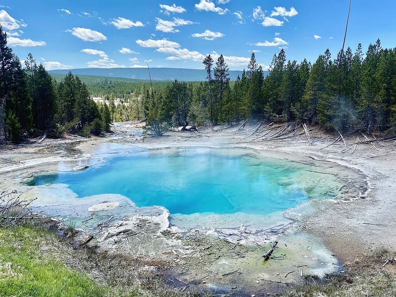 Norris Geyser Basin