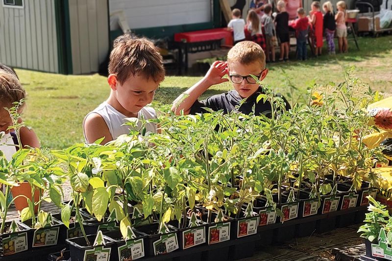 Gardening as a Team