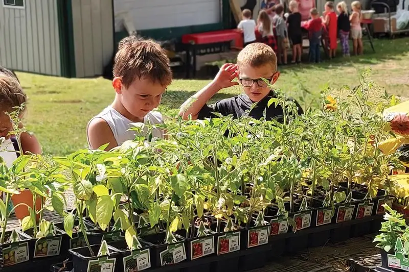 Gardening as a Team