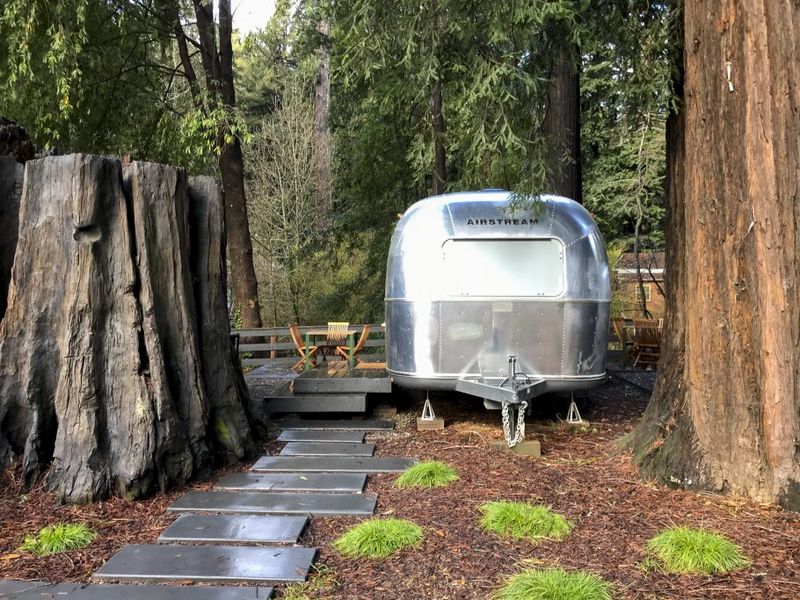Autocamp Russian River
