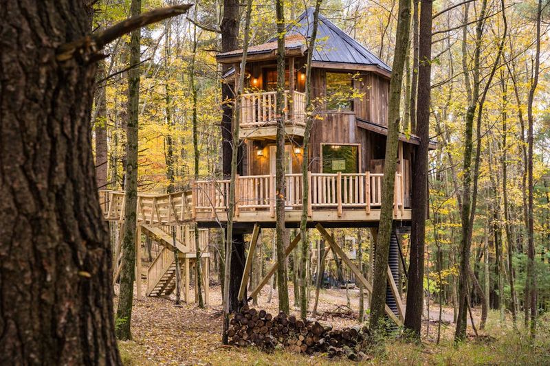 The Mohicans Treehouse Resort
