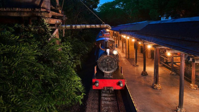 Wildlife Express Train