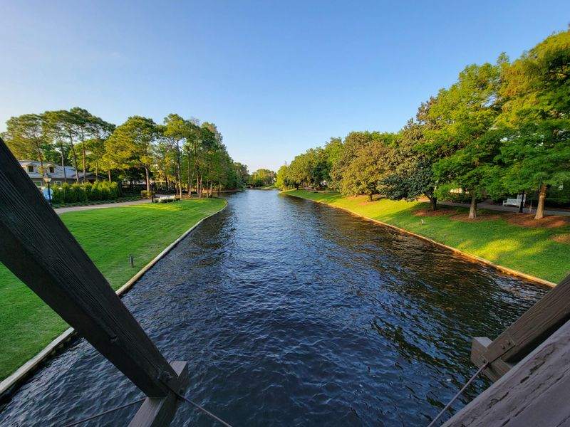 Spanish Moss and Oaks at Port Orleans – Riverside