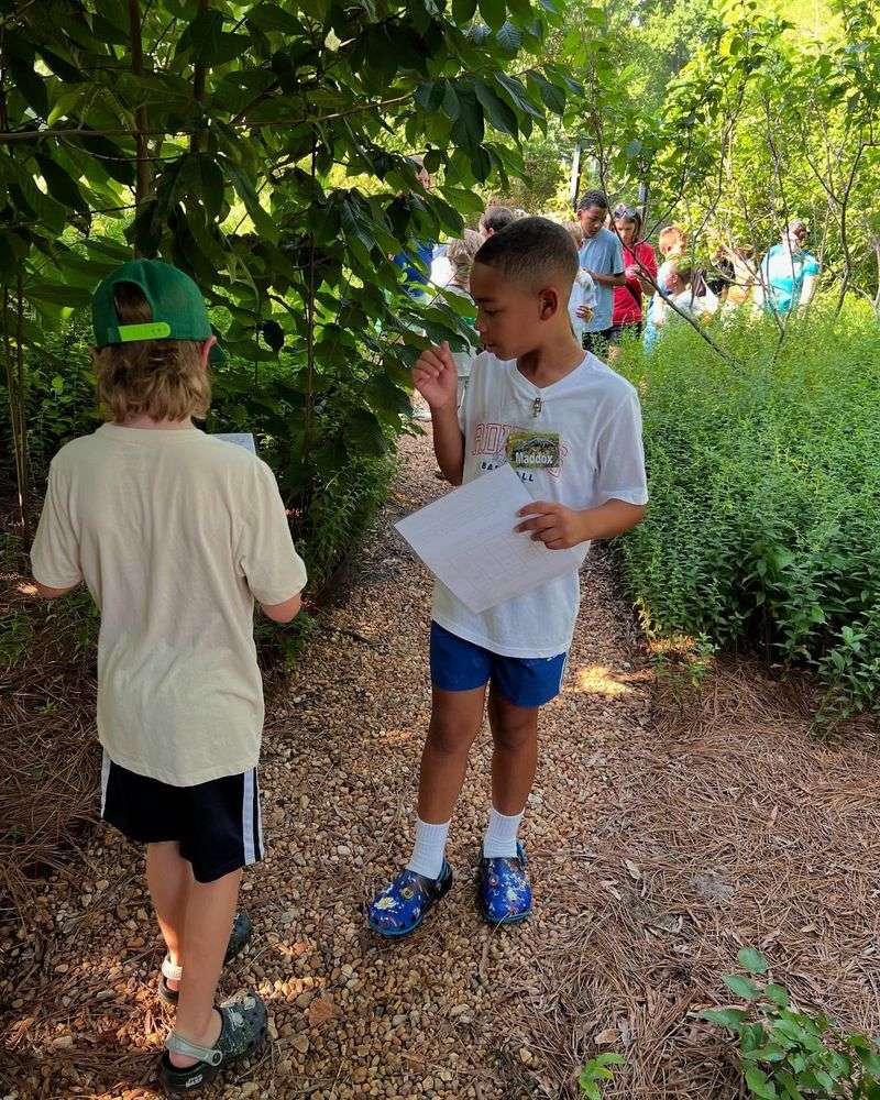 Explore the Arboretum at the University of Tennessee