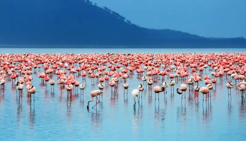 Lake Nakuru National Park, Kenya