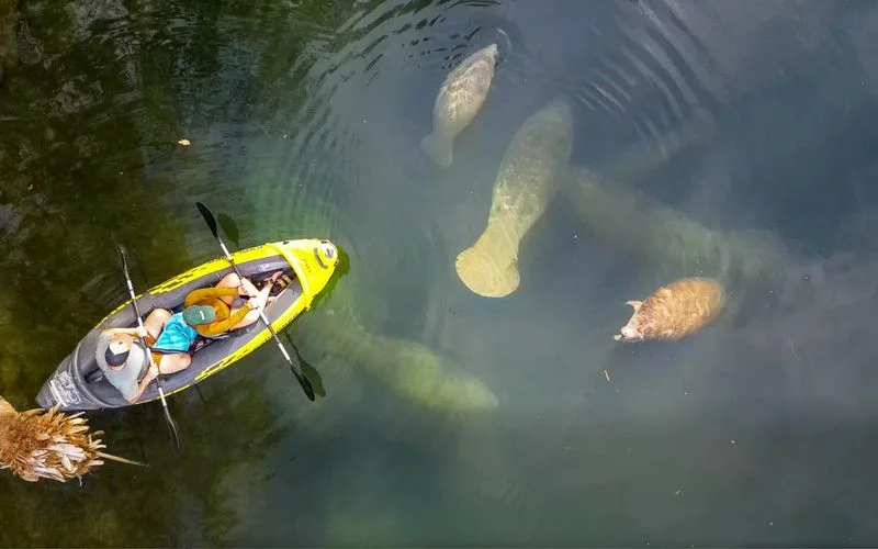 Explore Everglades National Park by Water